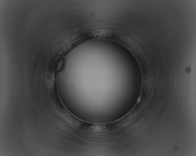 X0000091660660200708301440