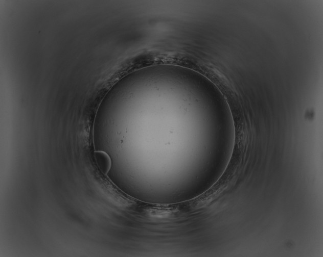 X0000091660661200708301440