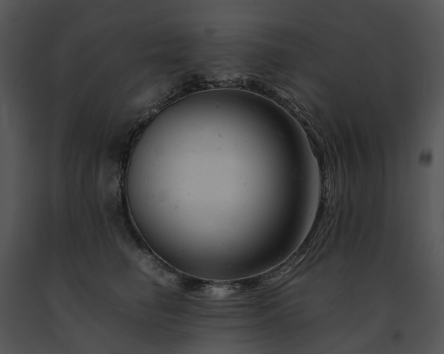 X0000091660662200708301440