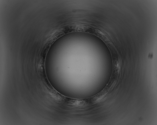 X0000091660663200708301440
