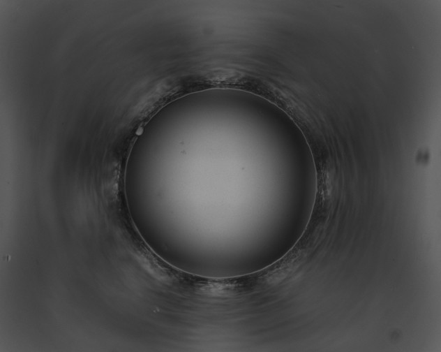 X0000091660664200708301440