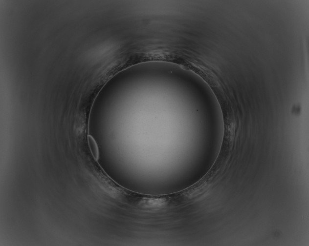 X0000091660665200708301440