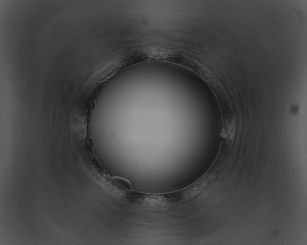 X0000091660666200708301440