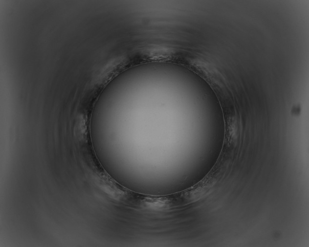 X0000091660667200708301440