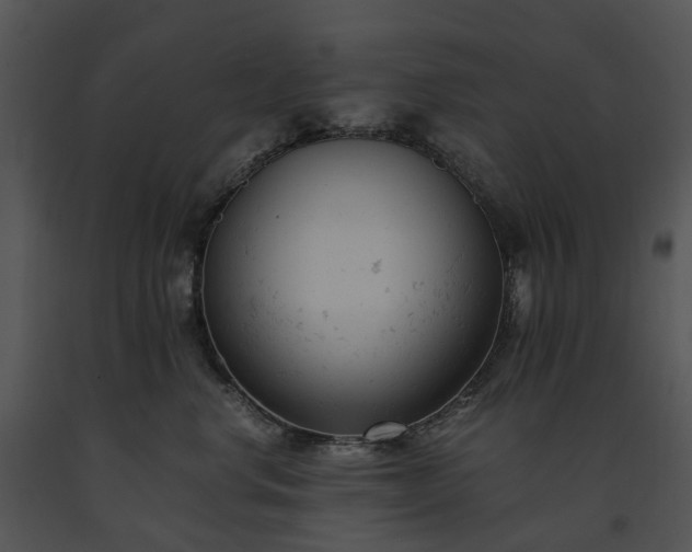 X0000091660668200708301440