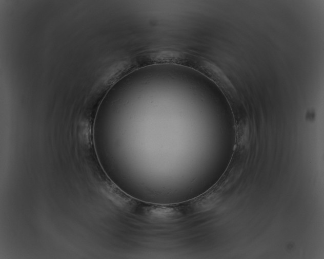 X0000091660669200708301440