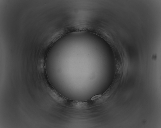 X0000091660670200708301440