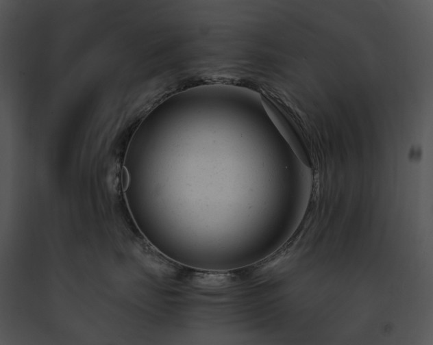 X0000091660671200708301440