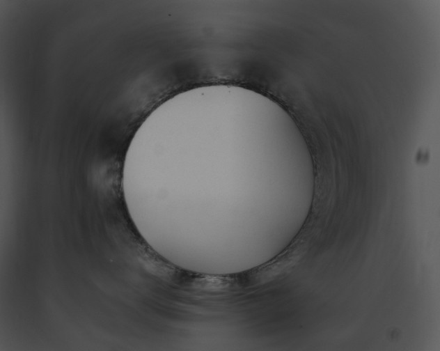 X0000091660672200708301440