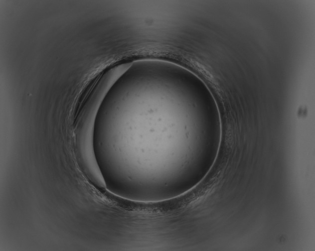 X0000091660673200708301439
