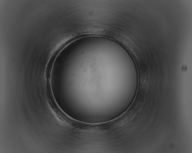 X0000091660674200708301439