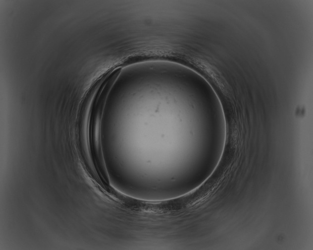 X0000091660677200708301439