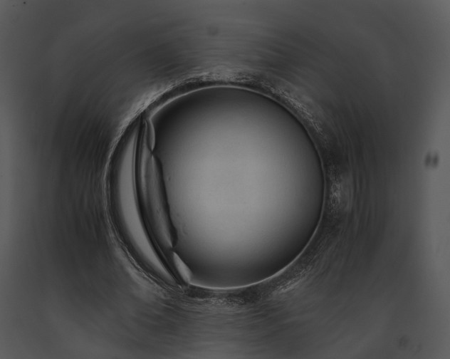 X0000091660678200708301439