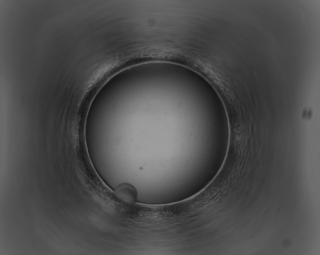 X0000091660679200708301439