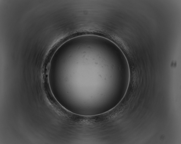 X0000091660680200708301439