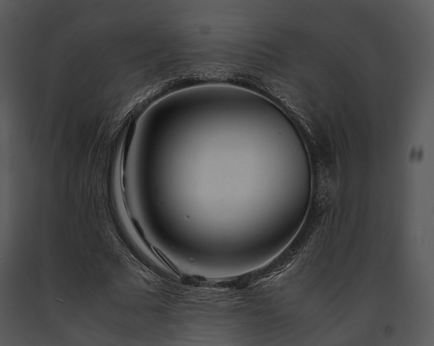 X0000091660681200708301439