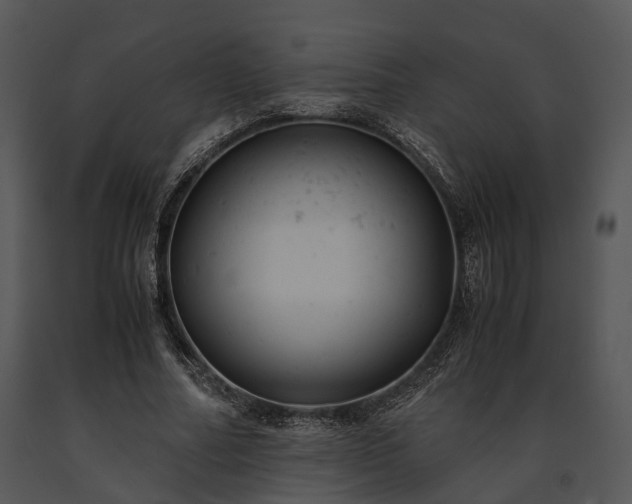 X0000091660682200708301439