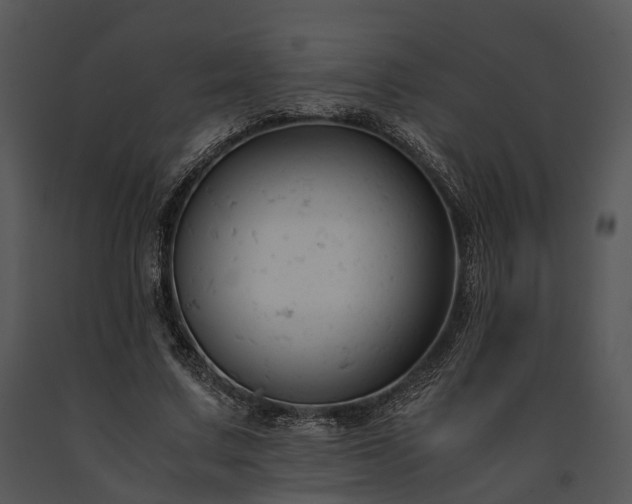 X0000091660683200708301439