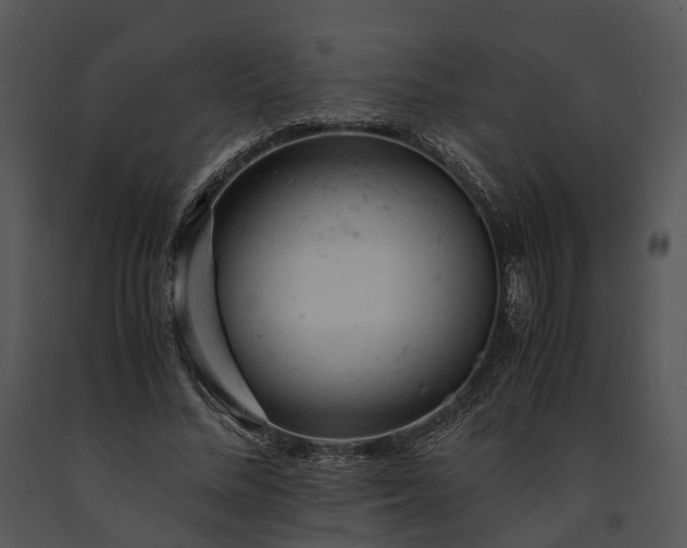X0000091660684200708301439