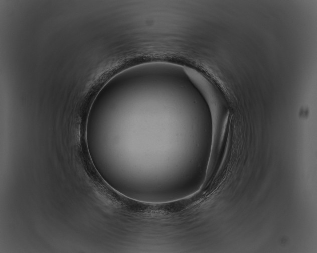 X0000091660685200708301439