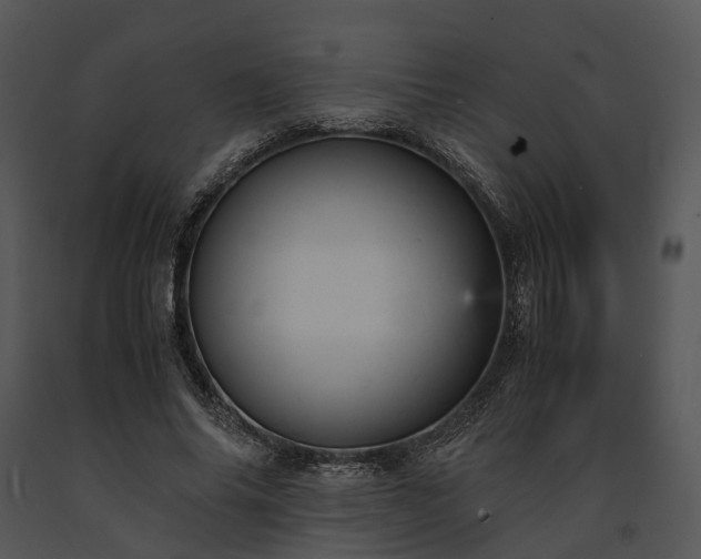 X0000091660686200708301439