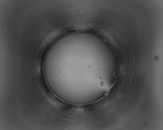 X0000091660687200708301439