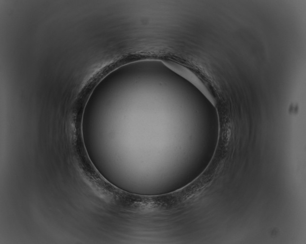 X0000091660688200708301439