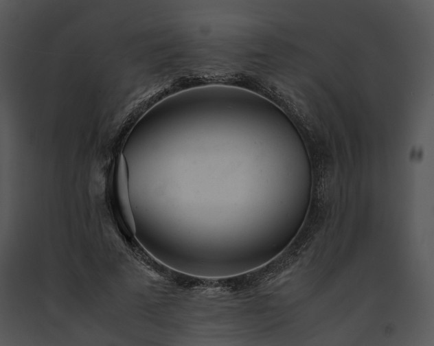 X0000091660689200708301439