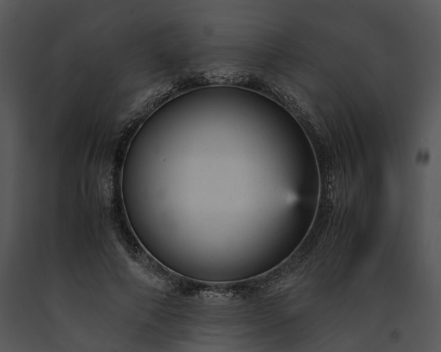 X0000091660690200708301439