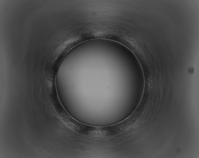 X0000091660691200708301439
