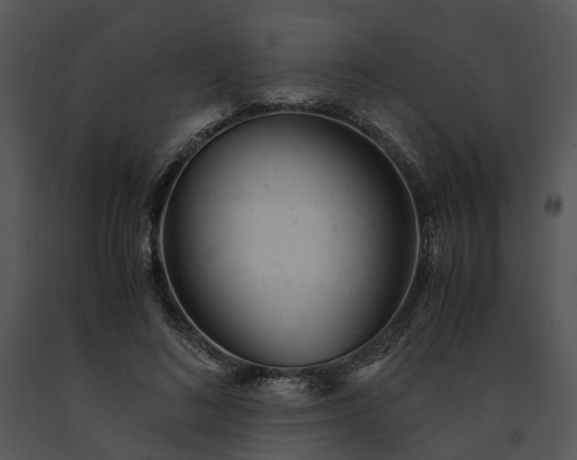 X0000091660692200708301439