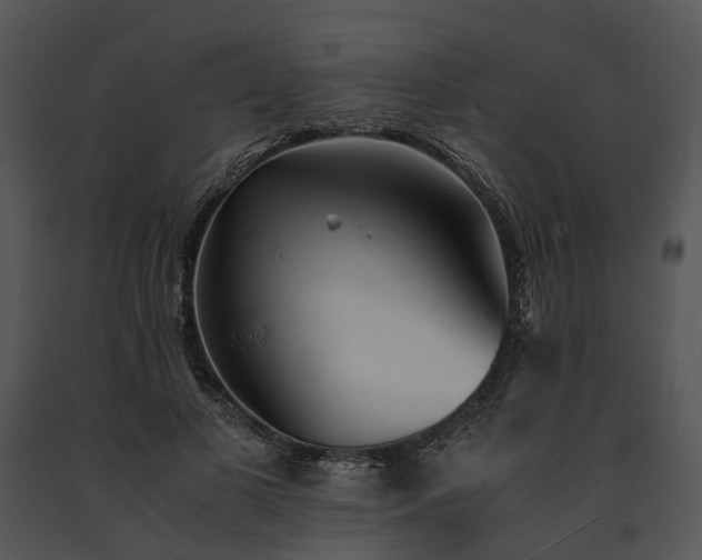 X0000091660693200708301439