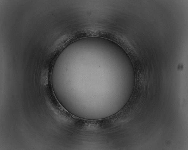 X0000091660694200708301439