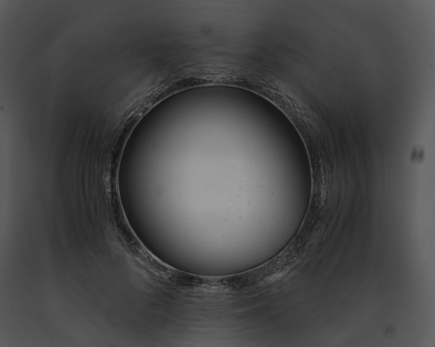 X0000091660696200708301439