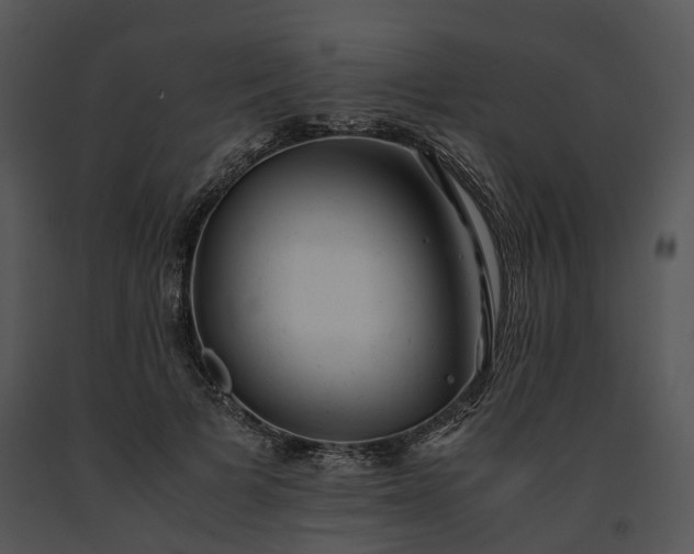 X0000091660697200708301439