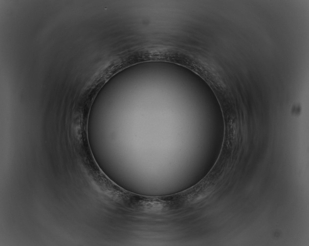 X0000091660698200708301439