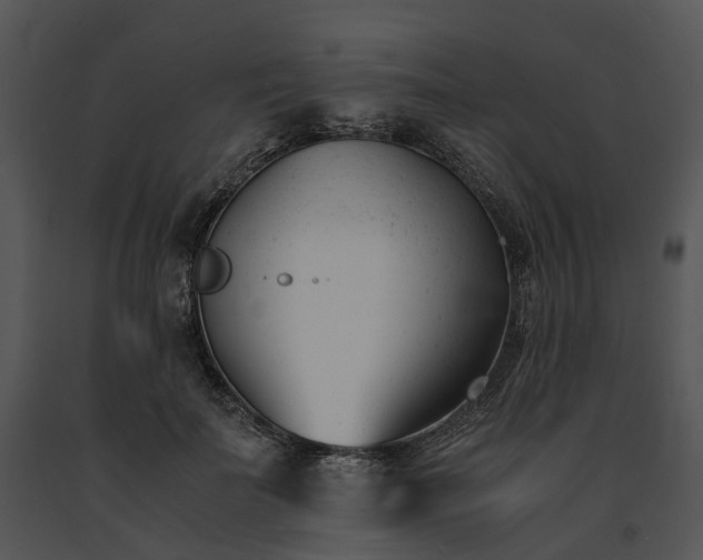X0000091660699200708301439