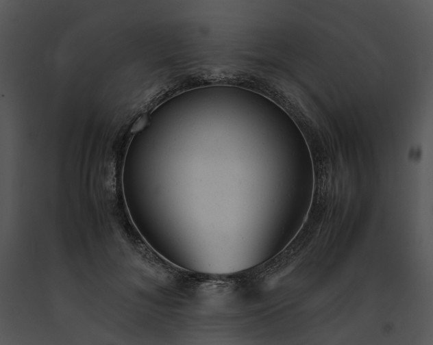 X0000091660700200708301439