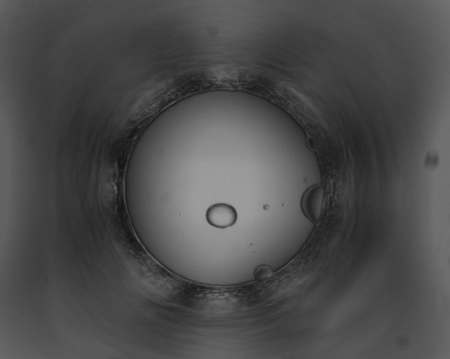 X0000091660702200708301439