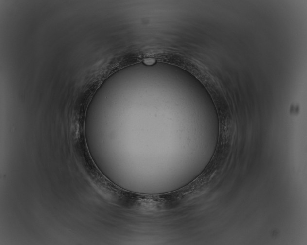 X0000091660703200708301439