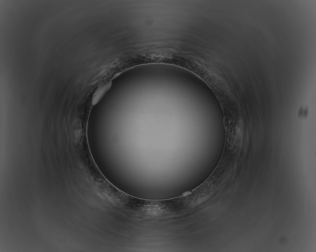 X0000091660704200708301439