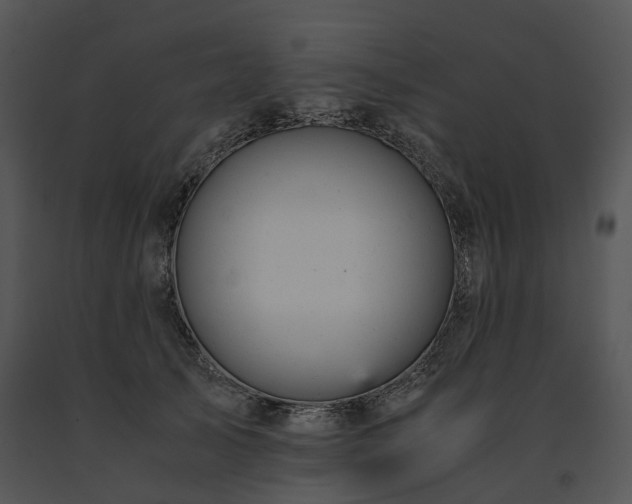 X0000091660705200708301439