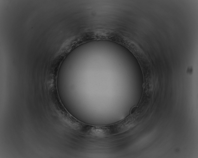 X0000091660706200708301439