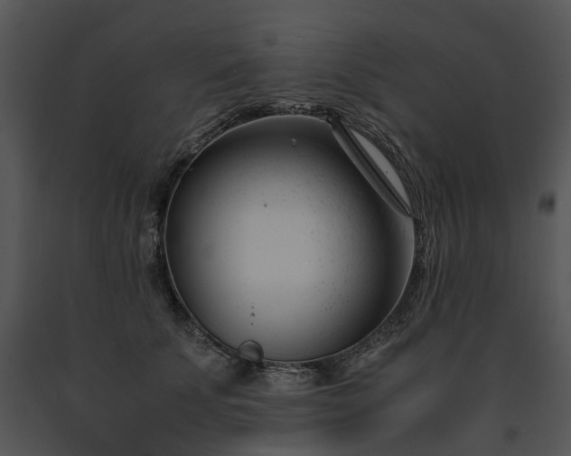 X0000091660707200708301439