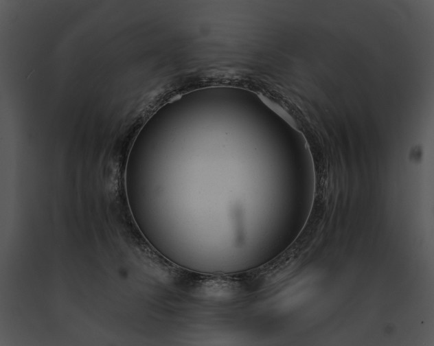X0000091660708200708301439