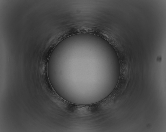 X0000091660709200708301439