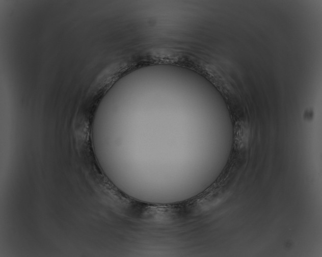 X0000091660713200708301439