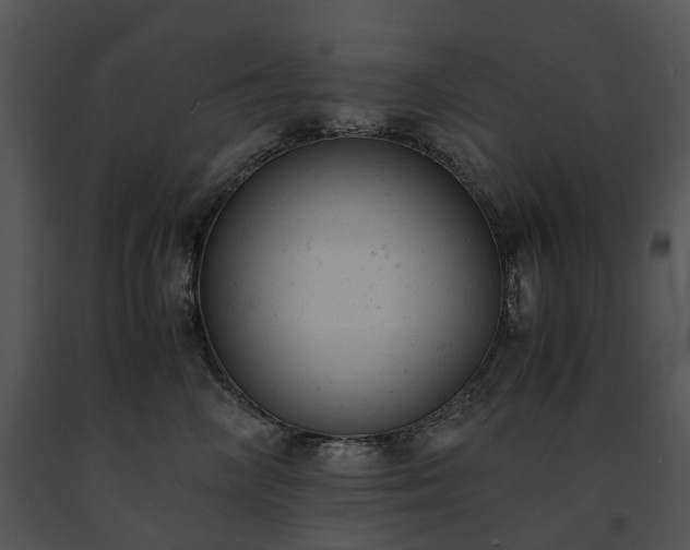 X0000091660714200708301439
