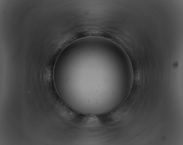 X0000091660715200708301439