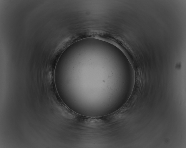 X0000091660716200708301439